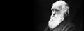 Darwin