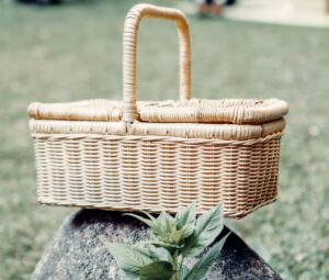 Ein Picknickkorb im Park